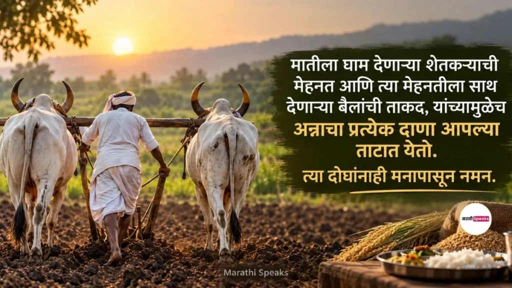Bail Pola Quotes In Marathi